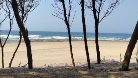 WhatsApp Image 2024-10-04 at 14_44_23_f53ea419 - C